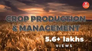 Crop Production and Management | Class 8 Science | Vedantu Junior