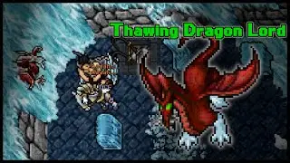 Jak odblokować minibosa Thawing Dragon Lord | Tibia - Mini poradnik