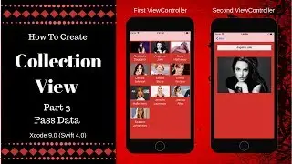 Pass data from CollectionView Cell to another view controller Xcode 9.0 (Swift 4.0) Part 3