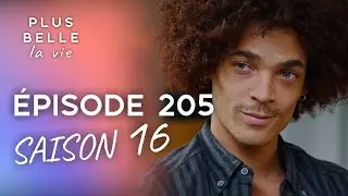 PBLV - Saison 16, Épisode 205 | Lola craque pour Noé