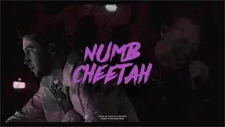 Numb Cheetah | TØP/Linkin Park (Mashup)