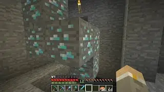 LETAR SKELETTSPAWNER | Minecraft Let's Play #17
