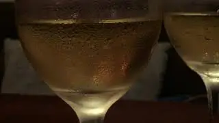 TL008 / TIMELAPSE100.