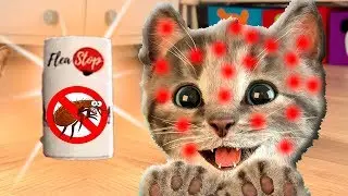 ADVENTURE OF A LITTLE KITTEN cartoon about kittens cartoon for kids and toddlers cartoons on 