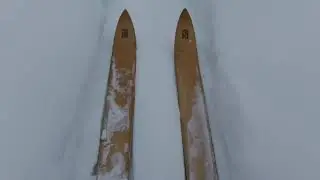 Лыжная прогулка по лесу.