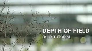 DSLR Tutorial: Depth of Field