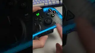 elite controller for the nintendo switch