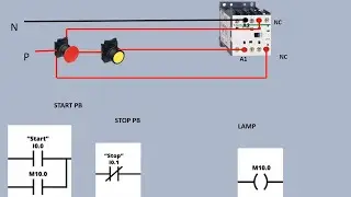 Plc Program input and output Wiring Animation video