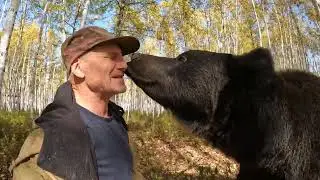 Медведица рассердилась.