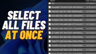 How to Select All Files in Folder at Once on Windows