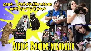 GARA GARA KUCING KAWIN APES SEJAGAT RAYA