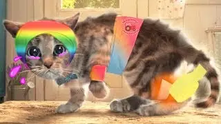 Adventures of the little kitten cartoon game