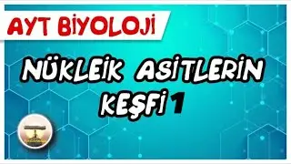 AYT Biyoloji | Nükleik Asitlerin Keşfi 1 