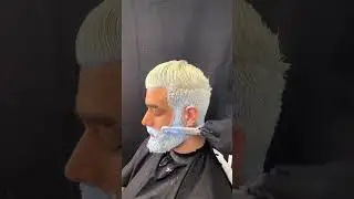 Hair and Beard Color 