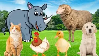 Farm animal sounds - Cows, goats, sheep, dogs, pigs - Familiar animals