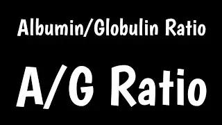 Albumin/Globulin Ratio Test | A/G Ratio | Total Protein Test |