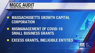 Audit finds mismanaged COVID-19 business grants