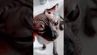 Девушка принимает душ Ну вы поняли что это Кыця