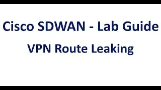 VPN Route leaking - Cisco SDWAN