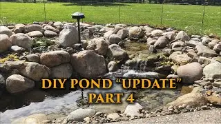 DIY Garden Pond Update | Plants - Fish - Deer Deterrent | Part 4