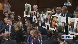 Boeing CEO Testifies on 737 MAX Safety