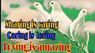 Sharing is caring ...Caring is loving ...Loving is amazing