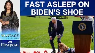 WATCH: Service Dog Falls Asleep on US President Joe Bidens Shoe | Vantage with Palki Sharma