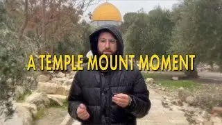 A Temple Mount Moment: Does Rain Effect the Temple Service?