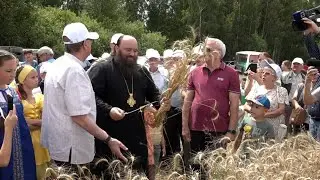 Праздник первого снопа и другие особенности уборочной 2024.