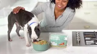 Ollie Dog Food Quality and Process