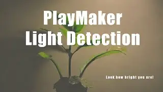 Unity Light Detection