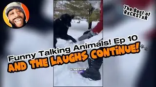 Best of RxCKSTxR Funny Talking Animal Voiceovers Compilation Ep 10