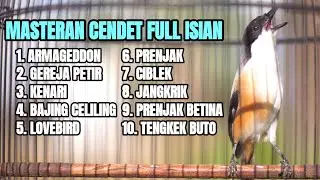 MASTERAN CENDET GACOR FULL TEMBAKAN LOMBA PEMANCING CENDET LAIN AGAR BONGKAR ISIAN