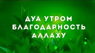Дуа Утром Благодарность Аллаху - ОЧЕНЬ МНОГО ПОЛЬЗЫ СЛУШАЙТЕ ЭТО ДУА УТРОМ
