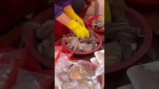 Как разделать осьминога