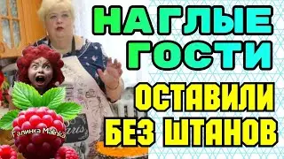 Ольга Уралочка live /Наглые гости оставили без штанов /Обзор /Уралочка и Сафар