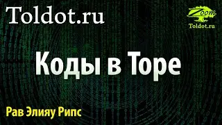 [7 часть] Структуры кодов. Коды в Торе. Рав Элияу Рипс.