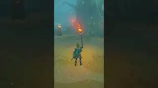 Где найти Меч Мастера в The Legend of Zelda? 