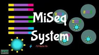 MiSeq System | Illumina MiSeq Instrument | Sequencing By Synthesis |