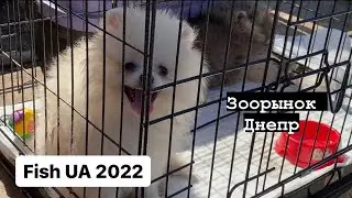 Зоорынок с животными Днепр 24.09.23