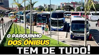 + DE 250 ÔNIBUS DIFERENTES EM APARECIDA | A CAPITAL NACIONAL DOS ÔNIBUS DE TURISMO - PARTE 2