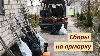 Сборы на ярмарку или папины фишки