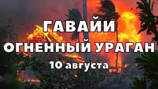 Огненный ураган на Гавайях сегодня сгорела большая часть острова