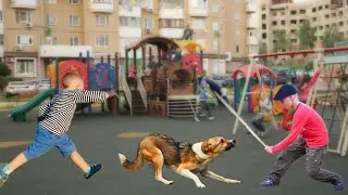 Heartless children almost beat a dog to death! But at the last moment...