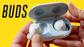 Galaxy Buds review: everything but the basics