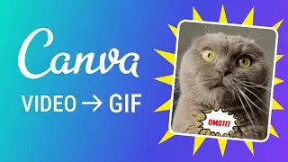 How to Make GIF from Video | Canva tutorial