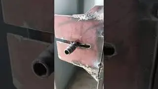 Новый птичник. Клетки. Пометоудаление.