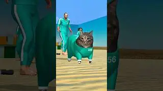 OIIA Spinning Cat in Squid Game 