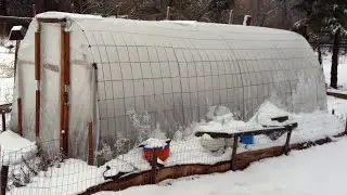 $150 Greenhouse - Incredibly simple and sturdy!