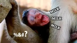 NO NEED MOM DO BLOCK MILK !! Tanya hopeless cry sad sound beg milk| Tana give poor milk for Tanya.
